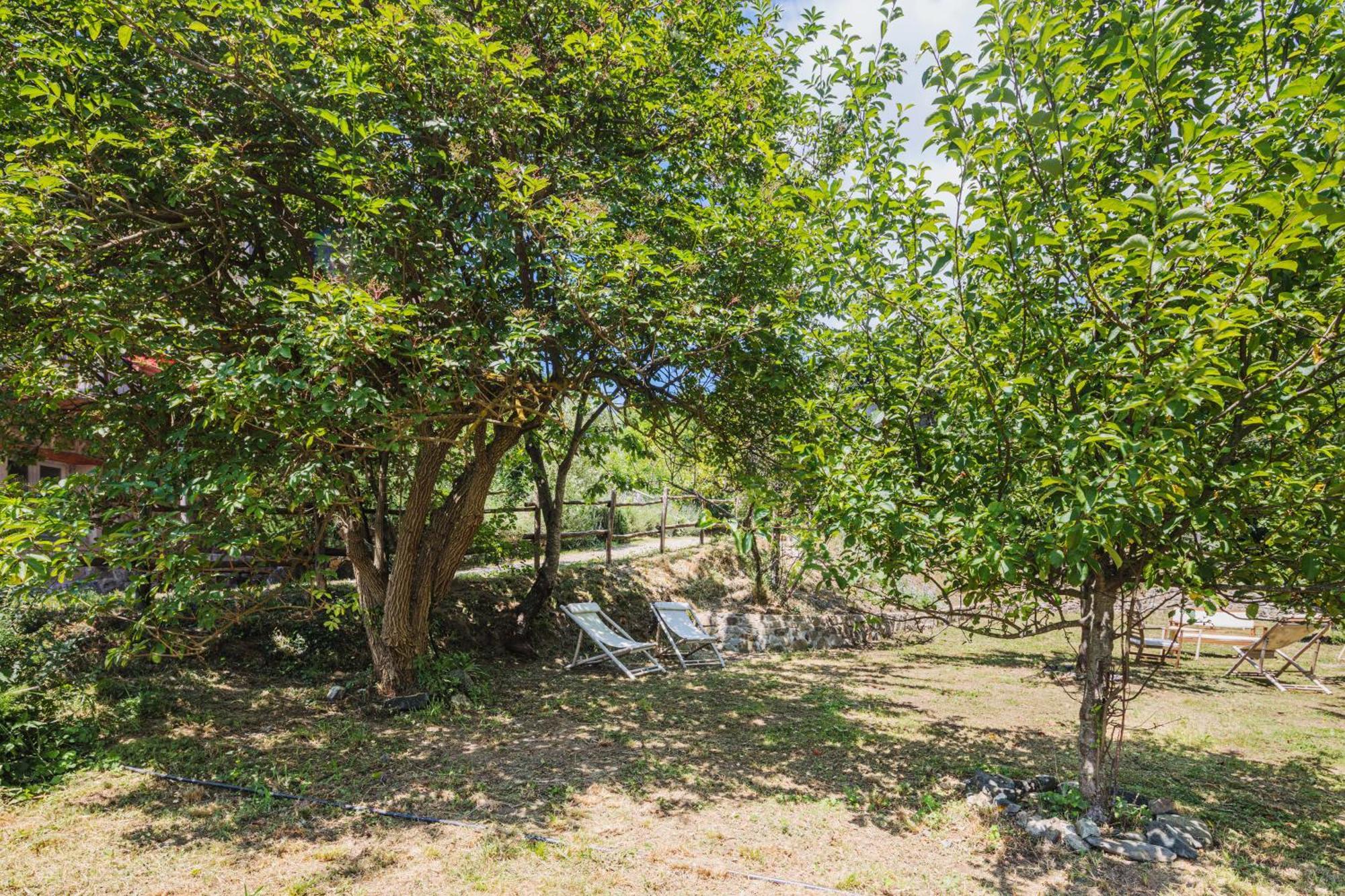Agriturismo Di Charme E Ristorante Stallato Il Filo Di Paglia Carro Luaran gambar